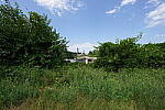 Click to see Y-WB-12_24GM-DSC00177.JPG