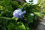 Click to see Y-WB-12_24GM-DSC00184.JPG