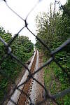 Click to see Y-WB-12_24GM-DSC00205.JPG