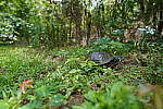 Click to see Y-WB-12_24GM-DSC00224.JPG