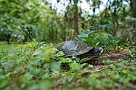 Click to see Y-WB-12_24GM-DSC00226.JPG