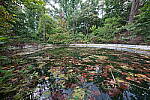 Click to see Y-WB-12_24GM-DSC00269.JPG