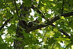 Click to see Y-WB-DSC02204.JPG