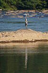 Click to see Y-WB-DSC02432.JPG
