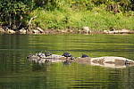 Click to see Y-WB-DSC02443.JPG