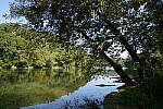 Click to see Y-WB-DSC02530.JPG