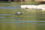 Click to see Y-WB-DSC02566.JPG