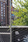 Click to see Y-WB-DSC02614.JPG