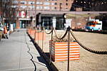 Click to see Y-WB-Sigma50mmDGDN-DSC09786.JPG