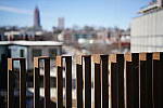 Click to see Y-WB-Sigma50mmDGDN-DSC09861.JPG