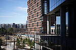 Click to see Y-WB-Sigma50mmDGDN-DSC09887.JPG