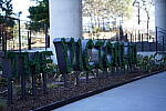 Click to see Y-WB-Sigma50mmDGDN-DSC09888.JPG