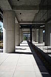 Click to see Y-WB-Sigma50mmDGDN-DSC09895.JPG
