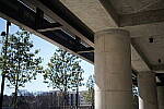 Click to see Y-WB-Sigma50mmDGDN-DSC09899.JPG