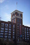 Click to see Y-WB-Sigma50mmDGDN-DSC09926.JPG