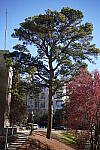 Click to see Y-WB-Sony5014GM-DSC00056.JPG