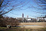 Click to see Y-WB-Sony5014GM-DSC00104.JPG