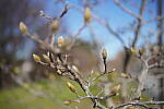 Click to see Y-WB-Sony5014GM-DSC00159.JPG