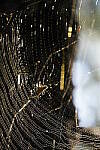 Click to see Y-WB-Tam50_400-DSC09469.JPG