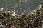 Click to see Y-JG-A7R-V-0084.JPG