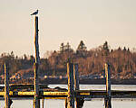 Click to see Y-JG-A7R-V-0108-MOD.JPG