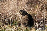 Click to see Y-JG-A7R-V-0277.JPG