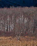 Click to see Y-JG-A7R-V-0508-MOD.JPG