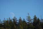 Click to see Y-JG-A7R-V-1188.JPG