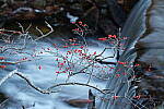 Click to see Y-JG-A7R-V-1235.JPG