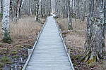 Click to see Y-JG-A7R-V-1383.JPG