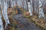 Click to see Y-JG-A7R-V-1427-MOD.JPG