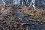 Click to see Y-JG-A7R-V-1455-MOD.JPG