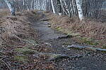 Click to see Y-JG-A7R-V-1455.JPG