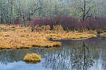 Click to see Y-JG-A7R-V-1705-MOD.JPG