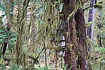 Click to see Y-JG-A7R-V-1727.JPG