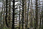 Click to see Y-JG-A7R-V-1730.JPG