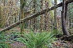 Click to see Y-JG-A7R-V-1734.JPG