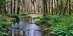 Click to see Y-JG-A7R-V-1741-MOD.JPG