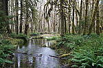 Click to see Y-JG-A7R-V-1741.JPG