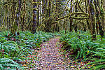 Click to see Y-JG-A7R-V-1758-MOD.JPG