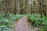 Click to see Y-JG-A7R-V-1758.JPG