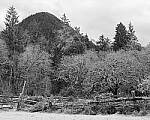 Click to see Y-JG-A7R-V-1771-MOD.JPG