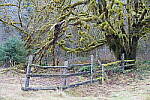 Click to see Y-JG-A7R-V-1777.JPG