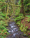 Click to see Y-JG-A7R-V-1799-MOD.JPG