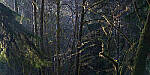 Click to see Y-JG-A7R-V-1820-MOD.JPG