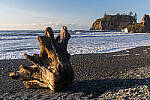 Click to see Y-JG-A7R-V-1904-MOD.JPG