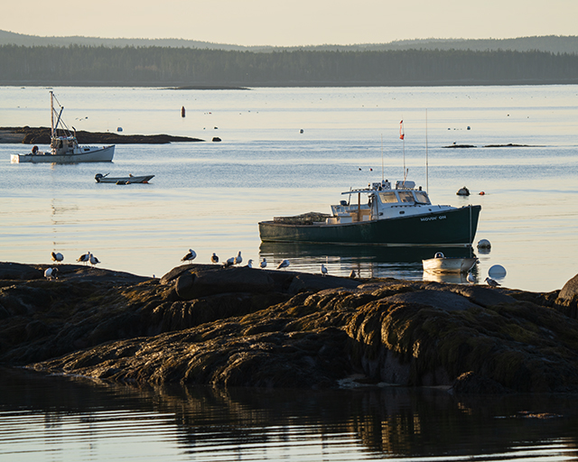 Sony A7R V Review: Field Test -- Gallery Image