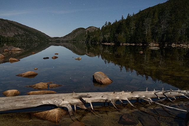 Sony A7R V Review: Field Test -- Gallery Image