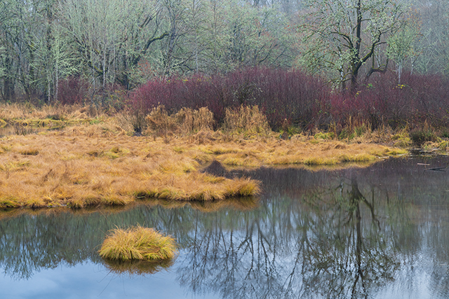 Sony A7R V Review: Field Test -- Gallery Image