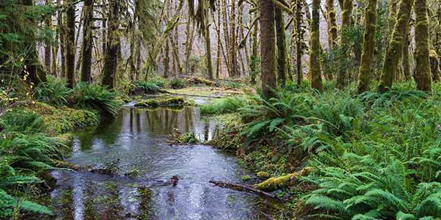 Sony A7R V Review: Field Test -- Gallery Image